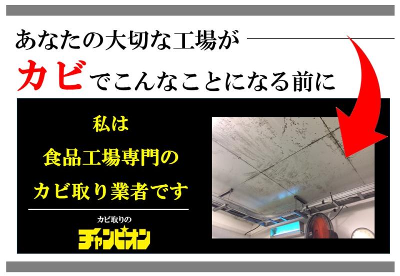 株式会社ビッグホワイのサブ写真１